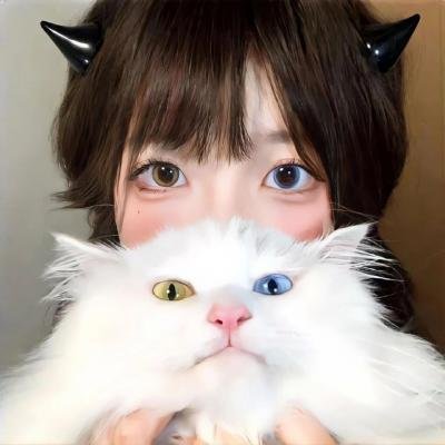 狐狸捕手