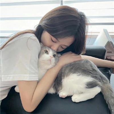 斯特莱克探案集第五季